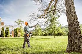 Best Tree and Shrub Care  in Woodworth, OH